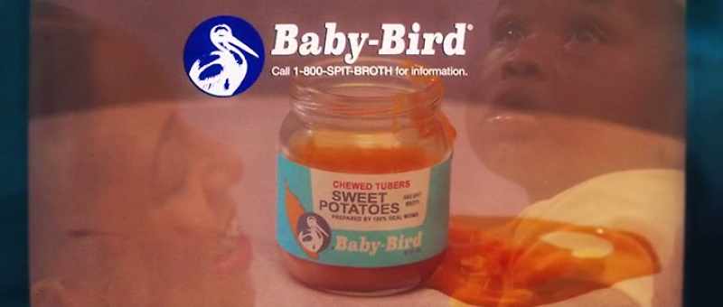 Baby-Bird