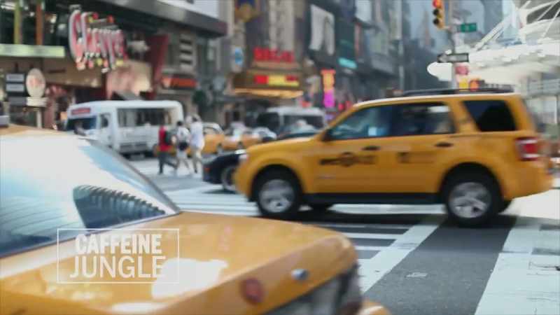 Back here in New York's concrete jungle