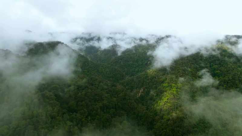 Back in New Guinea