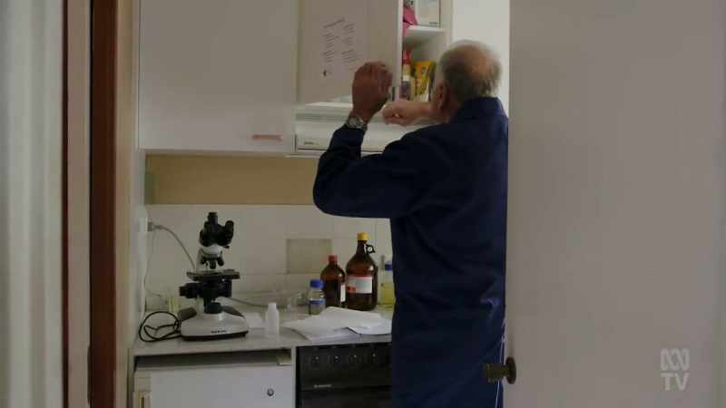 Back in the 1950s, scientists began using a chemical called ninhydrin