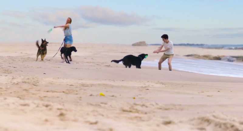 �� Back to the start Shake it and follow your heart ♪