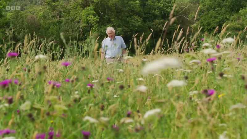 Back then, it was easy to find hay meadows like this one