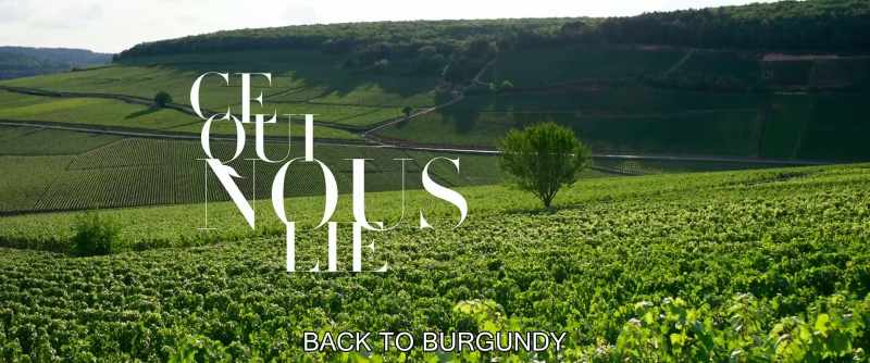 BACK TO BURGUNDY