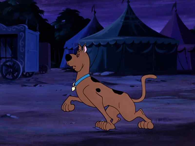 Back up there, Simba!