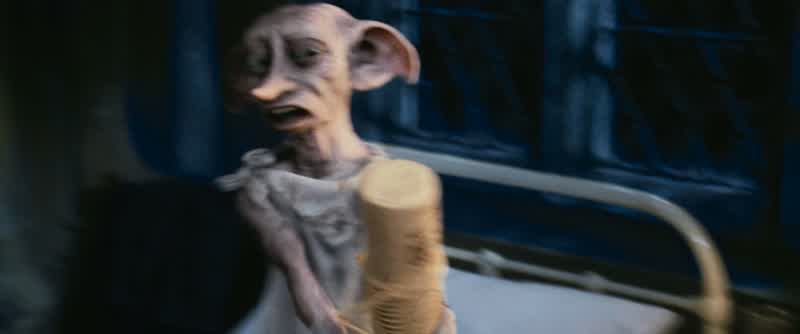 Bad Dobby!