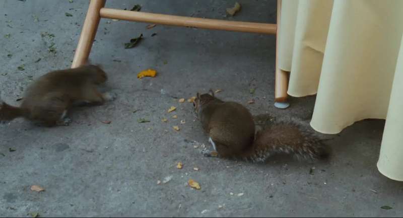 Bagel chips Back off or you'll find your nuts in a tree
