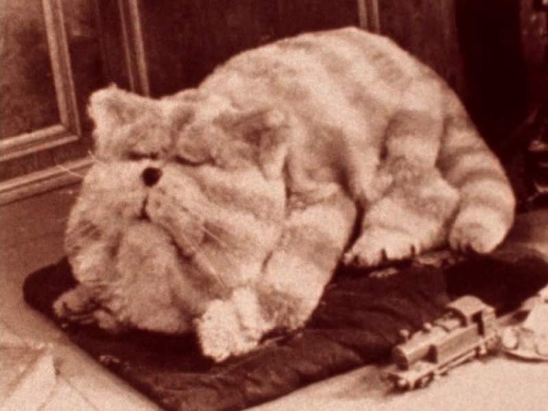 Bagpuss dear Bagpuss