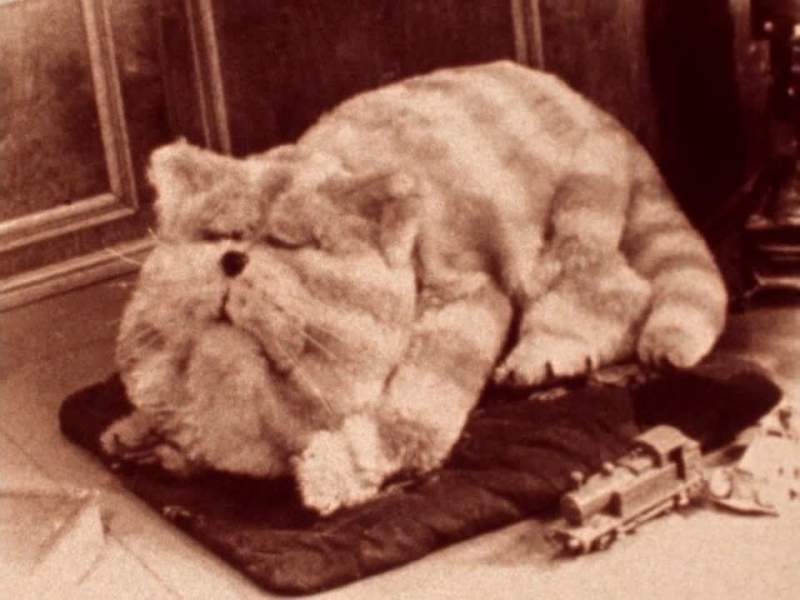 Bagpuss dear Bagpuss