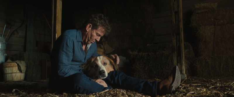 Bailey. Bailey, Bailey, Bailey. You're my good boy
