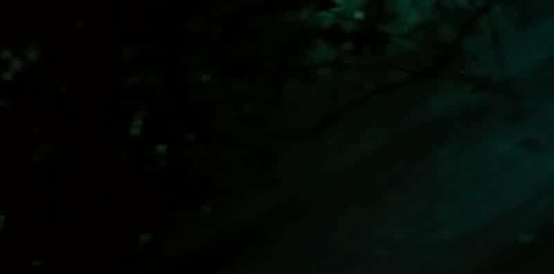 Baker! - Sarge! I found him, he's down here! - I found him!