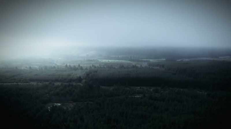 Ballypatrick Forest is a beautiful place