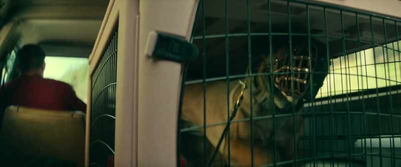 [barking] Come on, man. Okay, okay, fine, fine, fine, fine