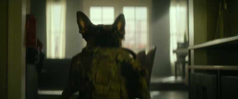 [barking]