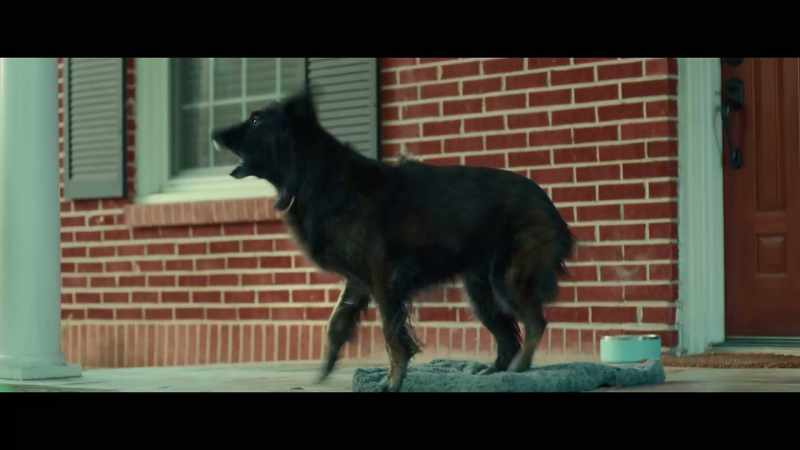 [barking]