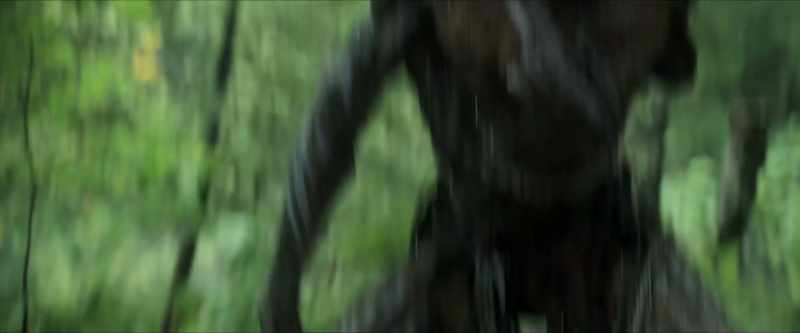 [BARKING]