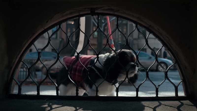 (BARKING)