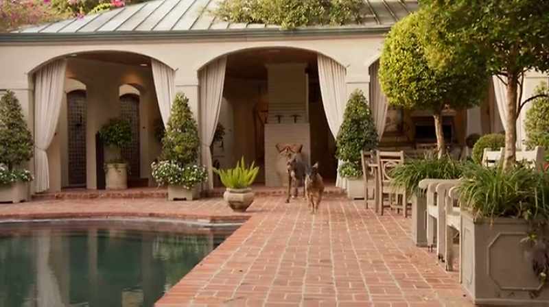 [BARKING]