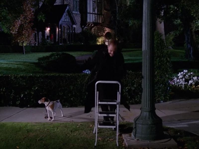 [BARKING]