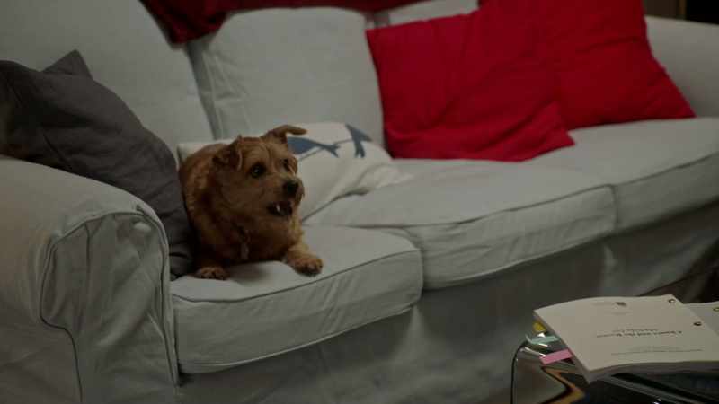 (barking)