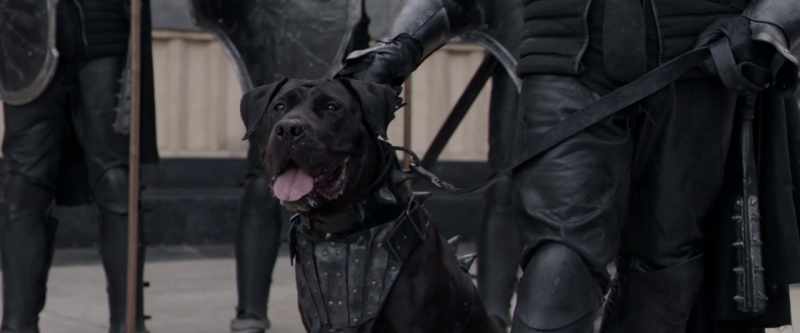 (BARKING)