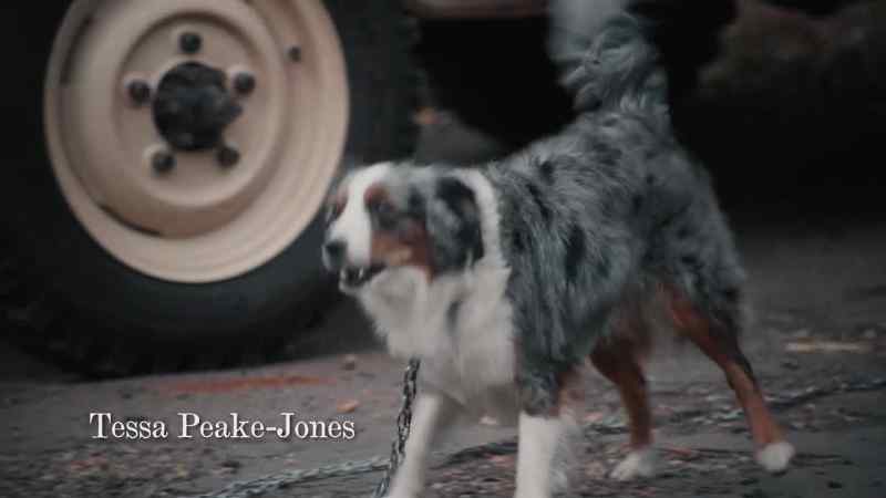 (barking)