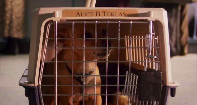 (barking)