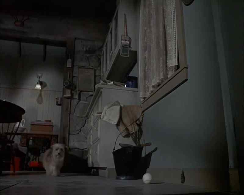 [ Barking ]