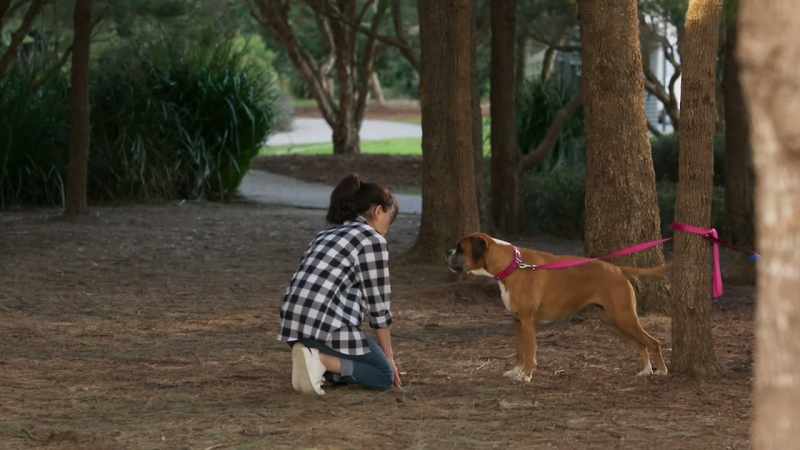 [barks]