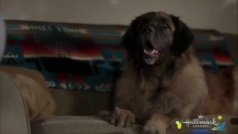 [barks]