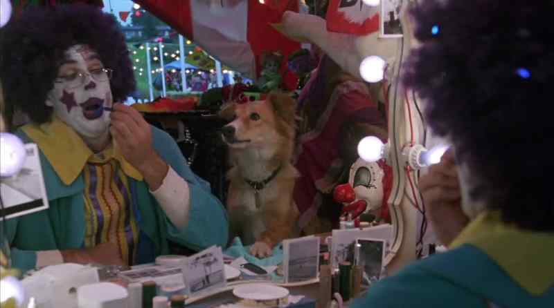 [barks]