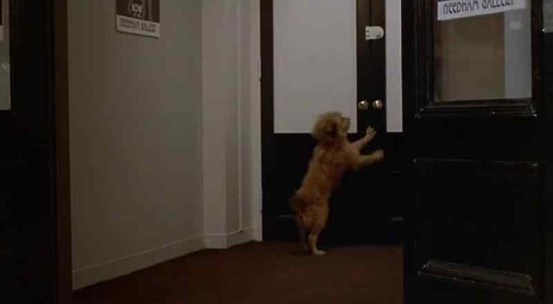 [Barks]