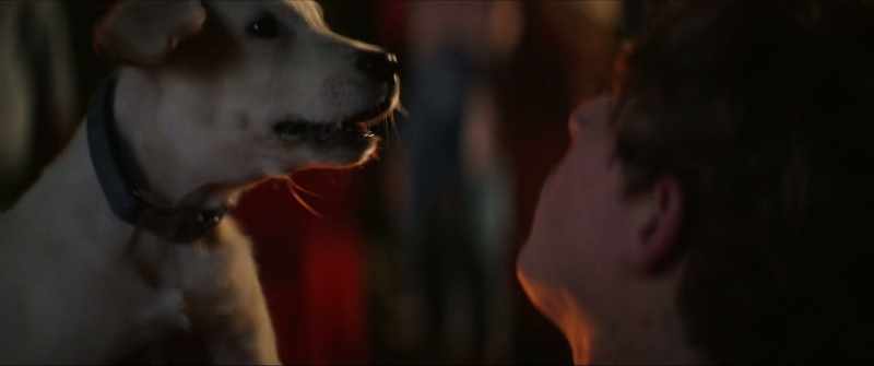 [barks]