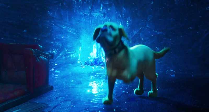 [barks]
