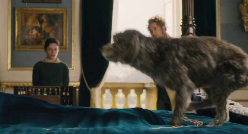 (barks)