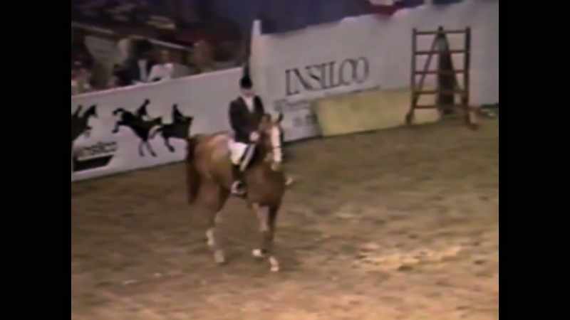 Barney Ward and Pico return victorious!