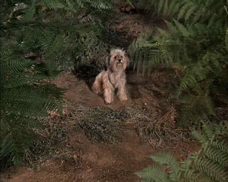 [ Barry ] Chipper sure likes it