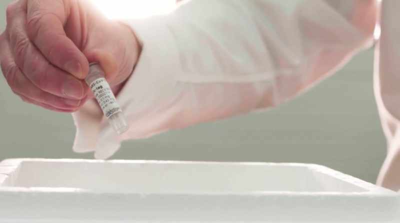 Basicamente, você tira o sangue de pacientes recuperados