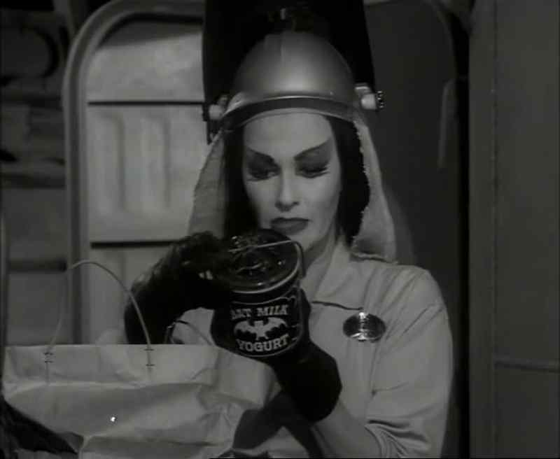 Bat's milk yogurt