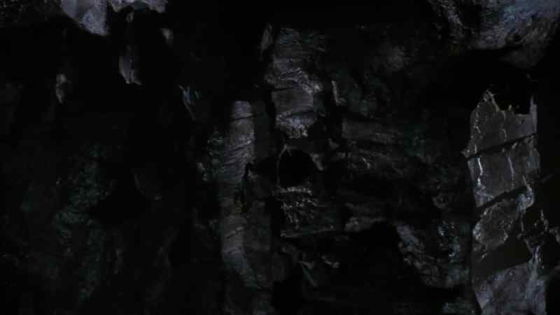 Bats