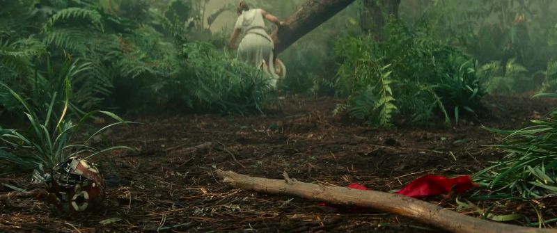 BB-8, I'm so sorry
