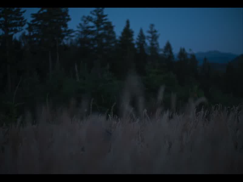 Be gentle with the rabbits