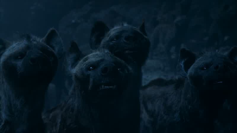 �� Be prepared ♪ Yes, our teeth and ambitions are bared ♪ Be prepared ♪