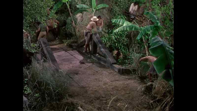 Be sure and cut down every branch hanging over the moat