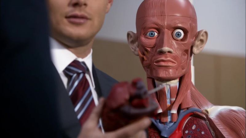 Be my Valentine? - Dude, we're working. Put it back