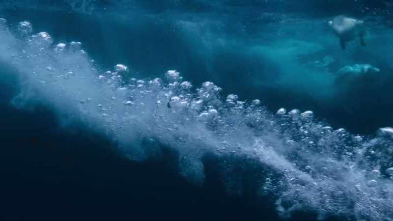 Beaks designed to cut through water
