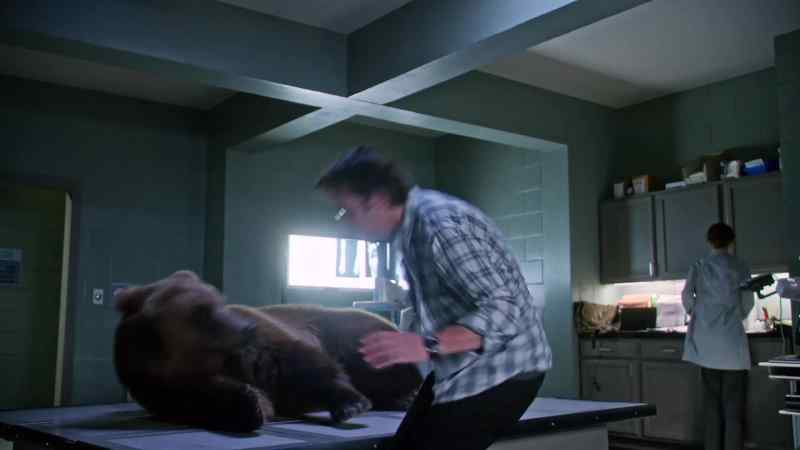 [BEAR GRovvl_s]