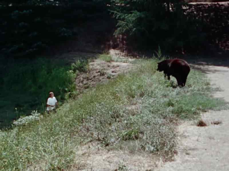 [bear growling]