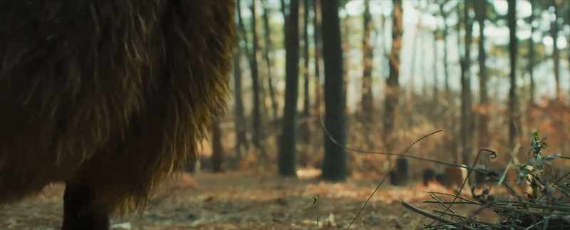 Bear Man