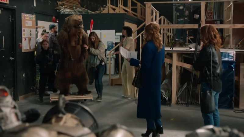 Bears and skis and surgeons