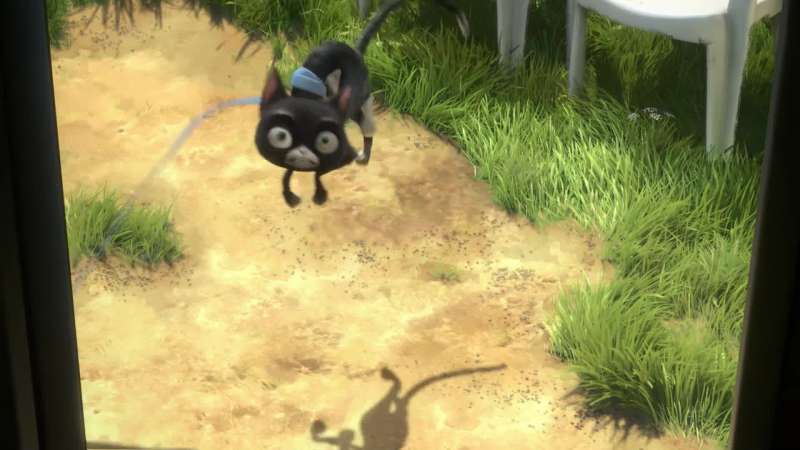 Beat it stupid cat